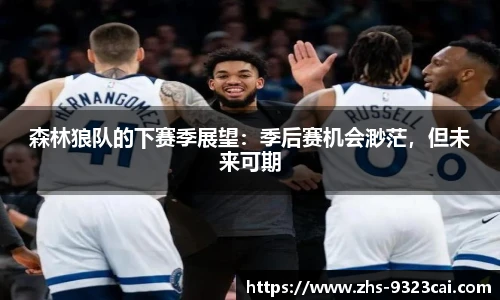 森林狼队的下赛季展望：季后赛机会渺茫，但未来可期