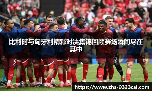 比利时与匈牙利精彩对决集锦回顾赛场瞬间尽在其中